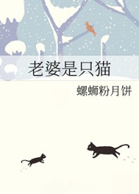 老婆是只猫