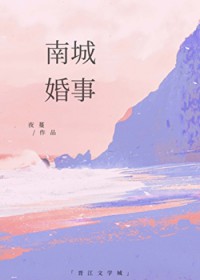 南城婚事