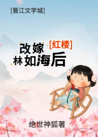 [红楼同人] 改嫁林如海后